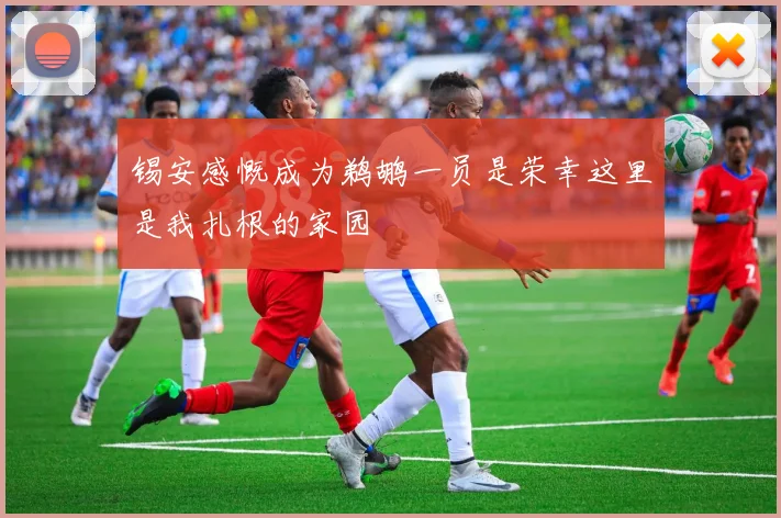 锡安感慨成为鹈鹕一员是荣幸这里是我扎根的家园