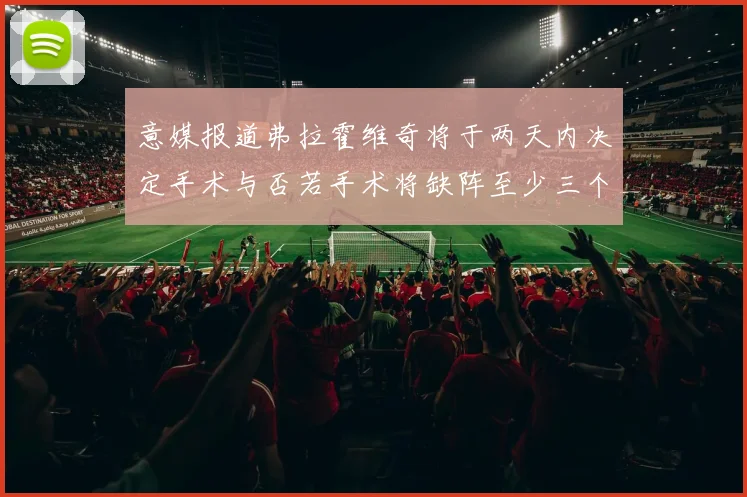 意媒报道弗拉霍维奇将于两天内决定手术与否若手术将缺阵至少三个月