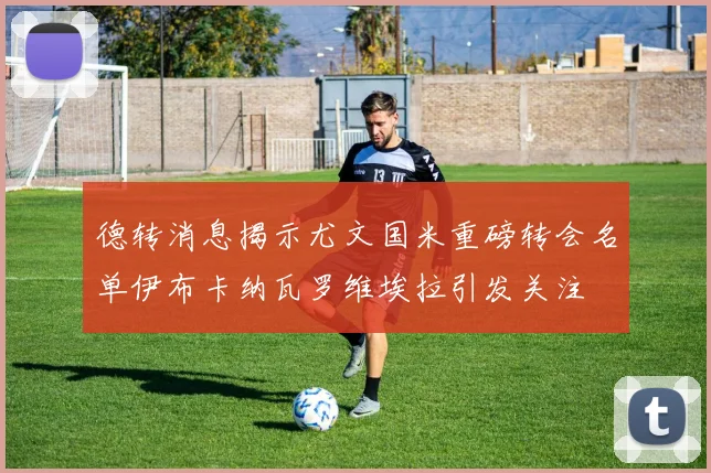 德转消息揭示尤文国米重磅转会名单伊布卡纳瓦罗维埃拉引发关注