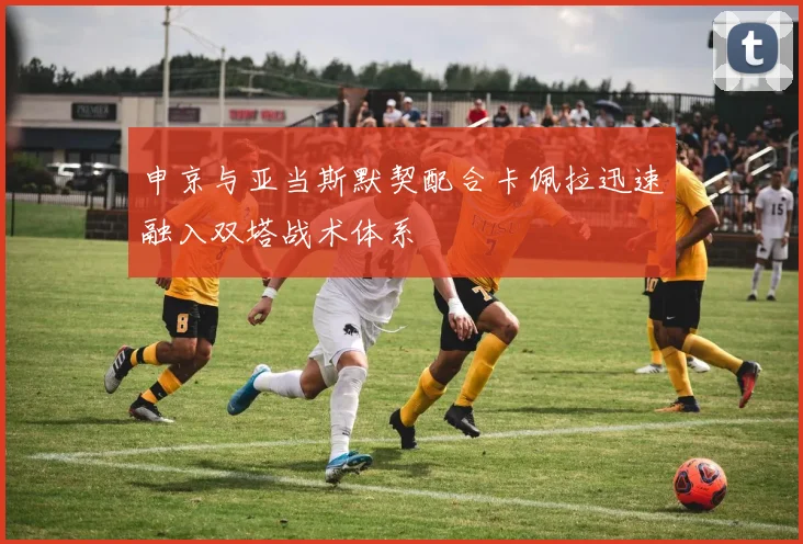 申京与亚当斯默契配合卡佩拉迅速融入双塔战术体系