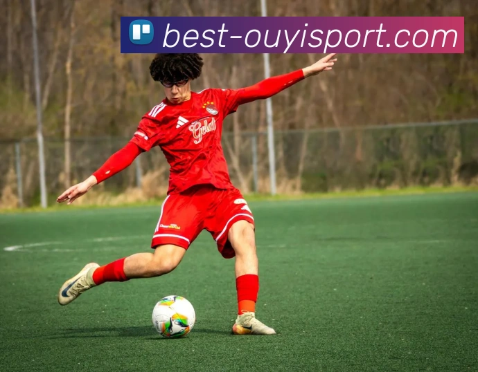 欧亿体育平台生态图